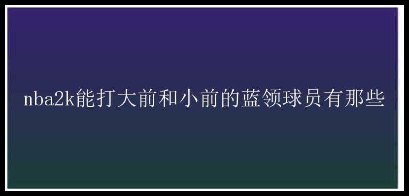 nba2k能打大前和小前的蓝领球员有那些