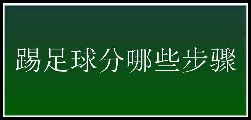 踢足球分哪些步骤