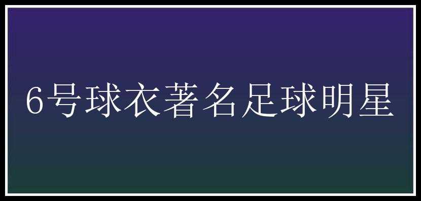 6号球衣著名足球明星