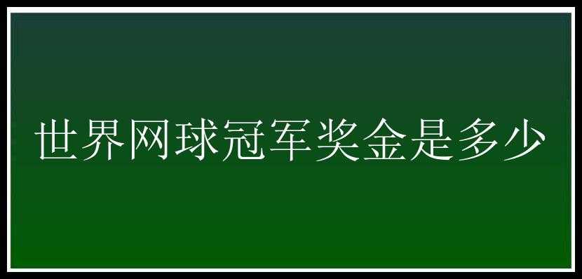 世界网球冠军奖金是多少