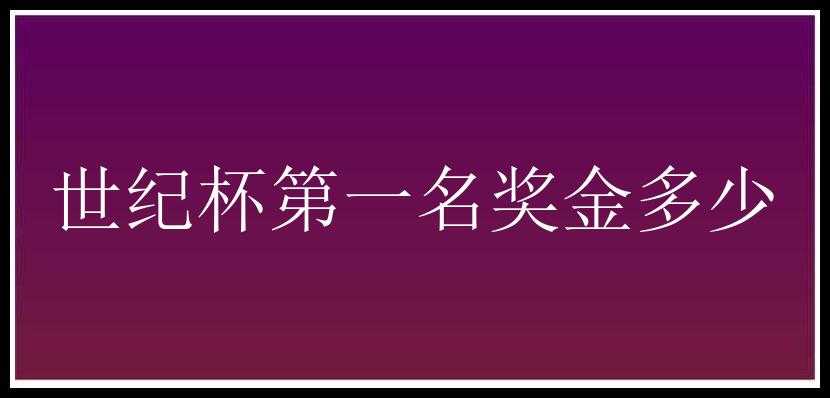 世纪杯第一名奖金多少