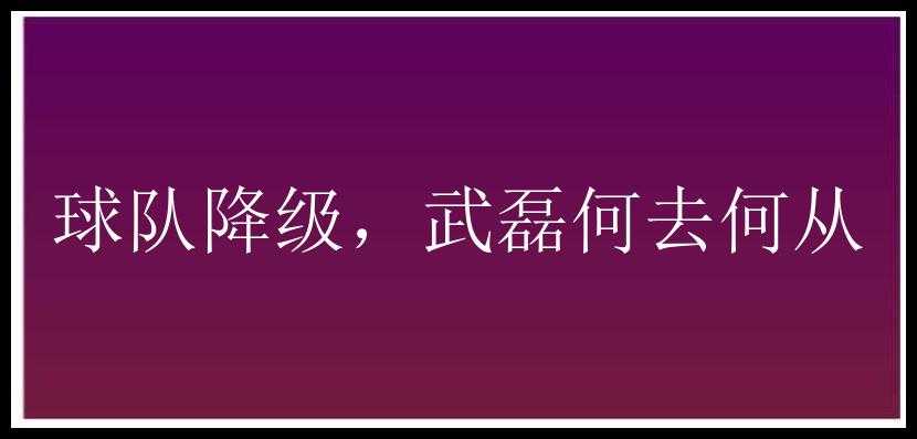 球队降级，武磊何去何从