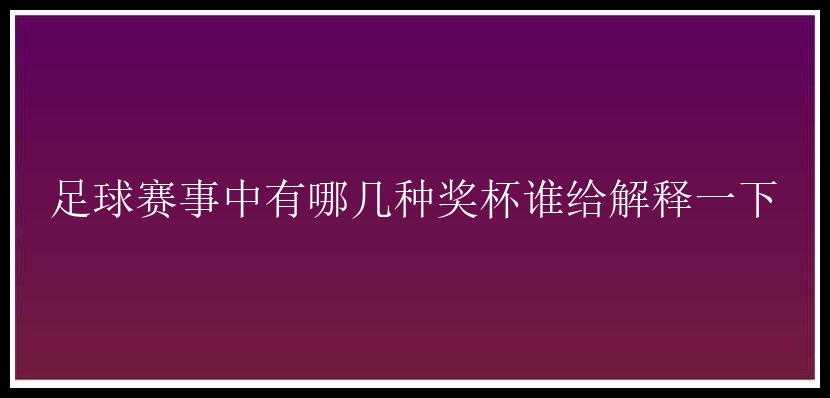 足球赛事中有哪几种奖杯谁给解释一下