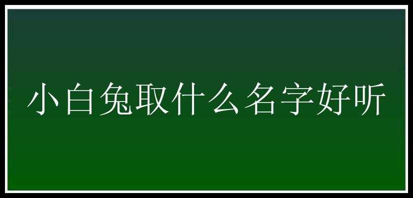 小白兔取什么名字好听