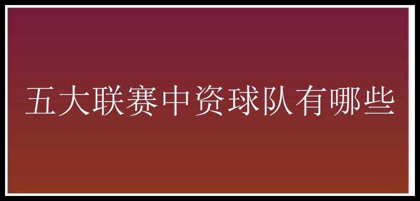 五大联赛中资球队有哪些