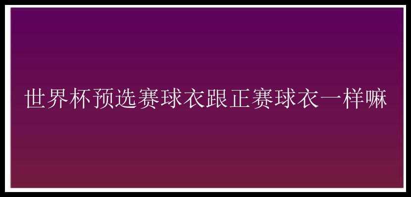 世界杯预选赛球衣跟正赛球衣一样嘛