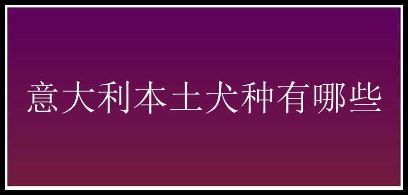 意大利本土犬种有哪些