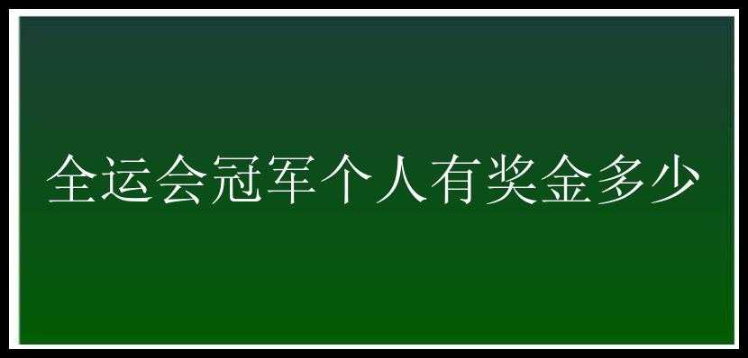 全运会冠军个人有奖金多少