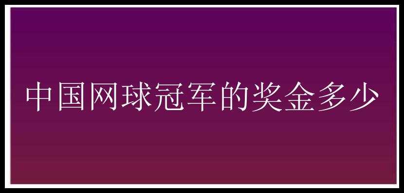 中国网球冠军的奖金多少