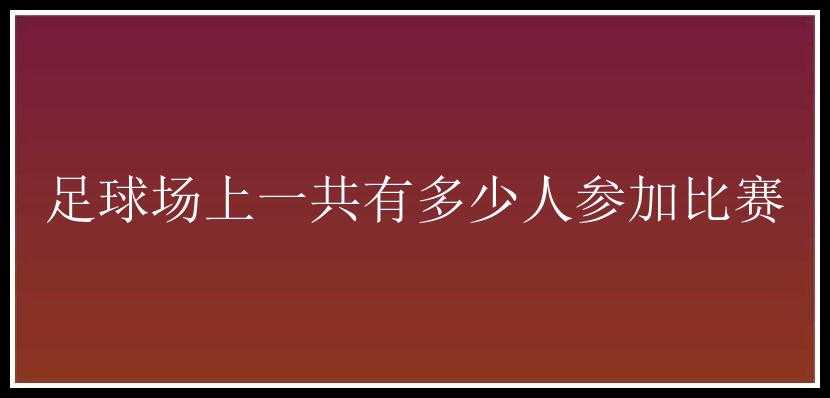 足球场上一共有多少人参加比赛