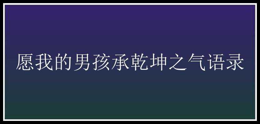 愿我的男孩承乾坤之气语录