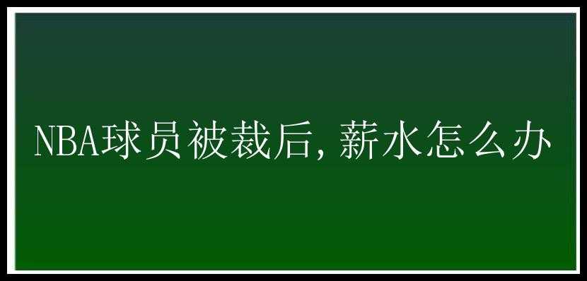 NBA球员被裁后,薪水怎么办