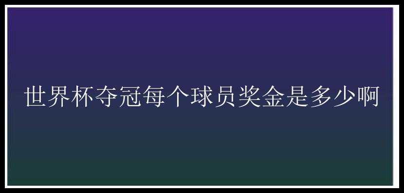 世界杯夺冠每个球员奖金是多少啊