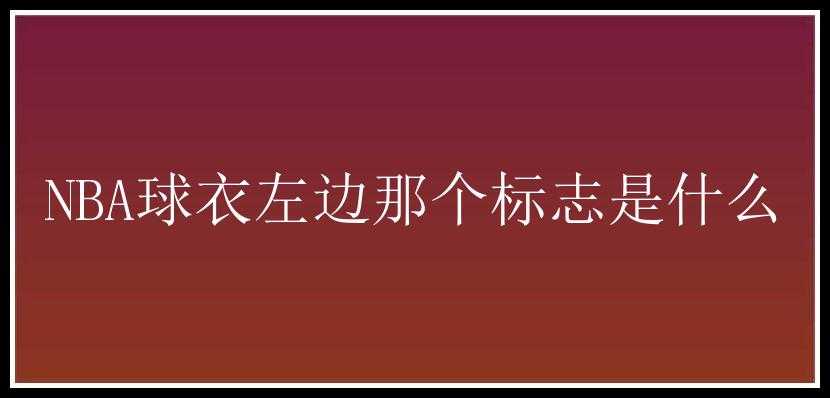 NBA球衣左边那个标志是什么