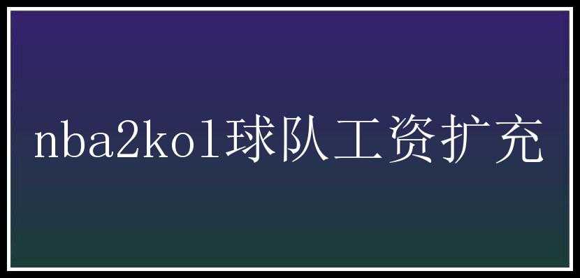 nba2kol球队工资扩充