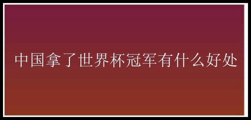 中国拿了世界杯冠军有什么好处