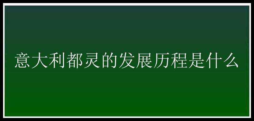 意大利都灵的发展历程是什么