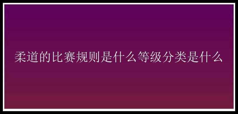 柔道的比赛规则是什么等级分类是什么