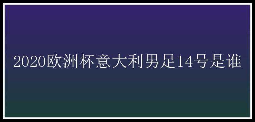 2020欧洲杯意大利男足14号是谁