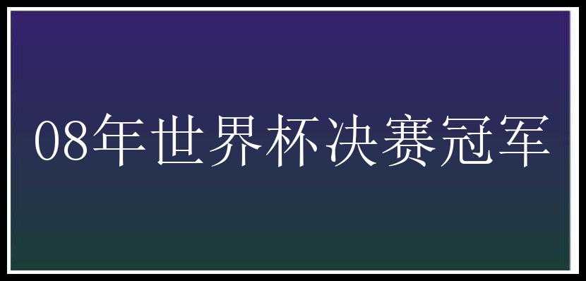 08年世界杯决赛冠军