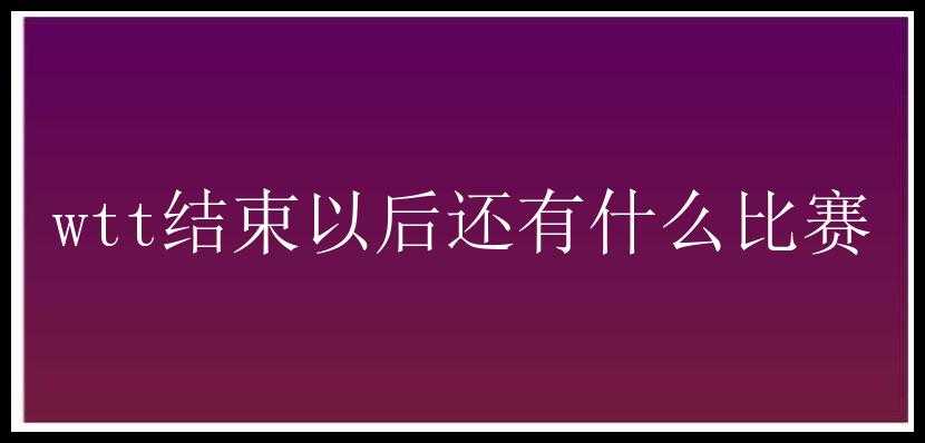 wtt结束以后还有什么比赛