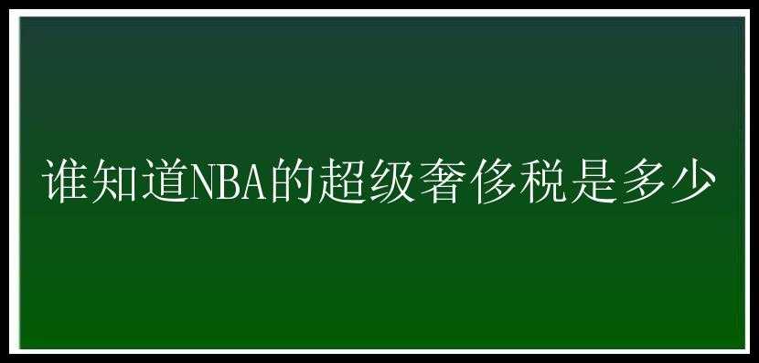 谁知道NBA的超级奢侈税是多少