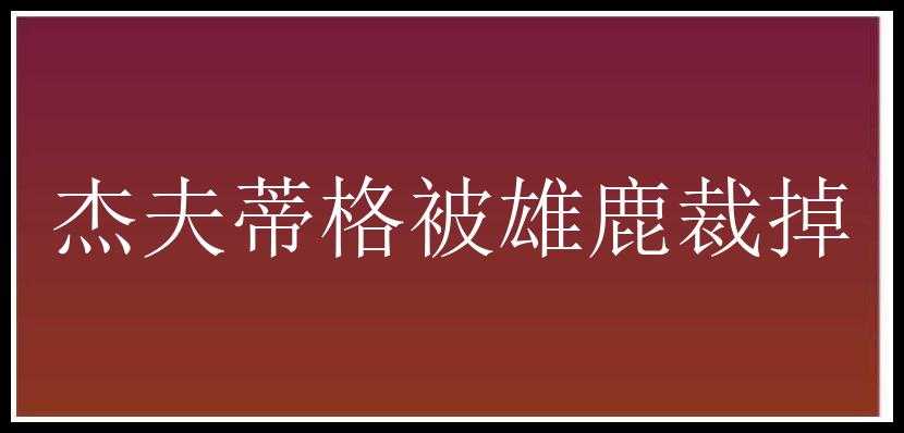 杰夫蒂格被雄鹿裁掉