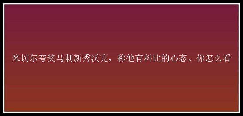 米切尔夸奖马刺新秀沃克，称他有科比的心态。你怎么看