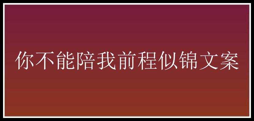 你不能陪我前程似锦文案