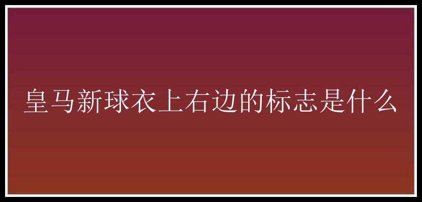 皇马新球衣上右边的标志是什么