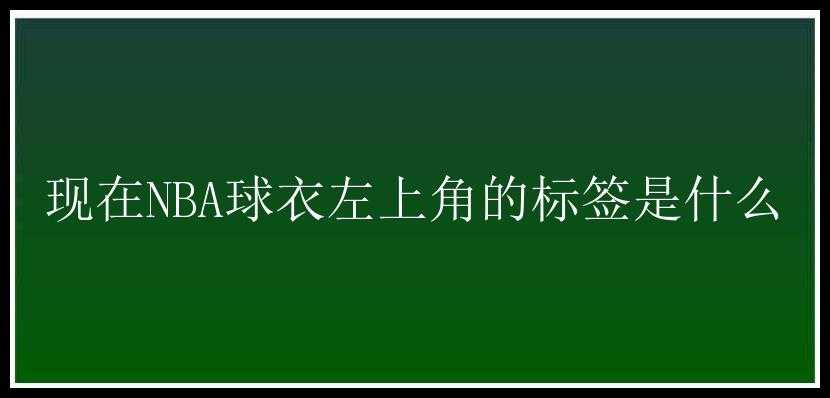 现在NBA球衣左上角的标签是什么