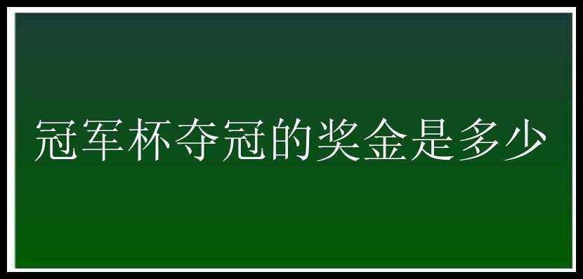 冠军杯夺冠的奖金是多少