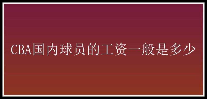 CBA国内球员的工资一般是多少