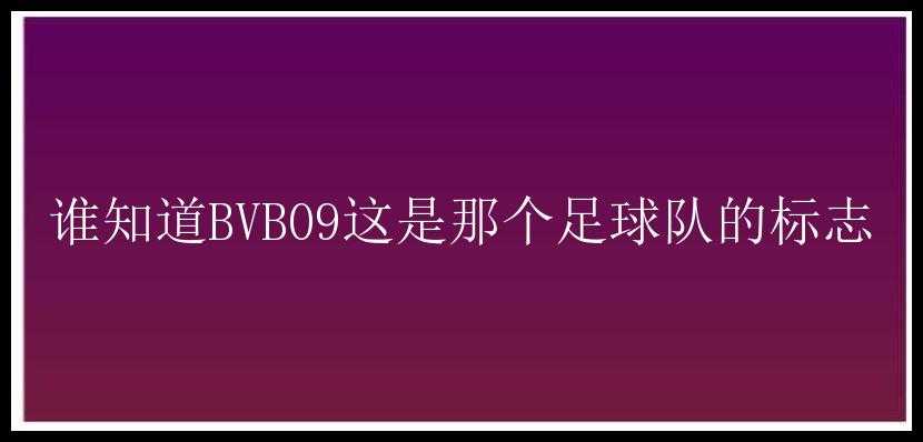 谁知道BVB09这是那个足球队的标志