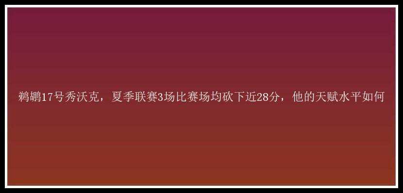 鹈鹕17号秀沃克，夏季联赛3场比赛场均砍下近28分，他的天赋水平如何