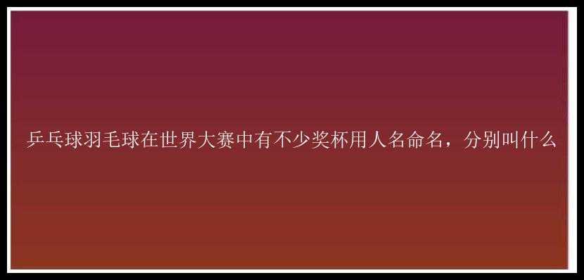 乒乓球羽毛球在世界大赛中有不少奖杯用人名命名，分别叫什么