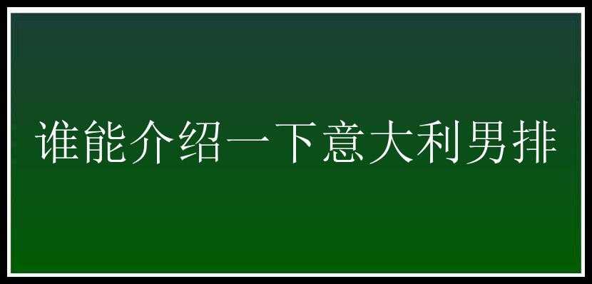 谁能介绍一下意大利男排