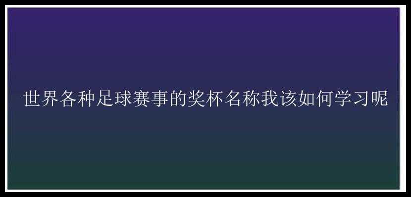 世界各种足球赛事的奖杯名称我该如何学习呢