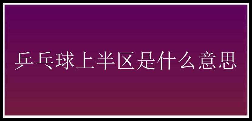 乒乓球上半区是什么意思