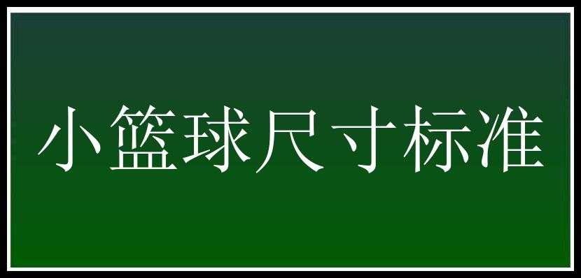 小篮球尺寸标准