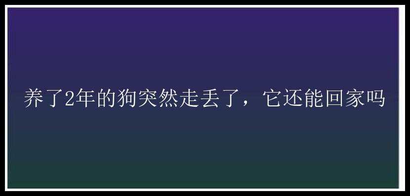 养了2年的狗突然走丢了，它还能回家吗