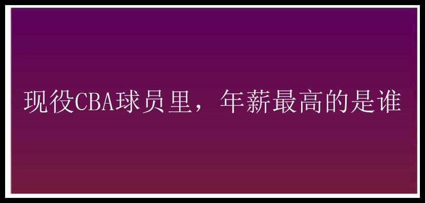 现役CBA球员里，年薪最高的是谁