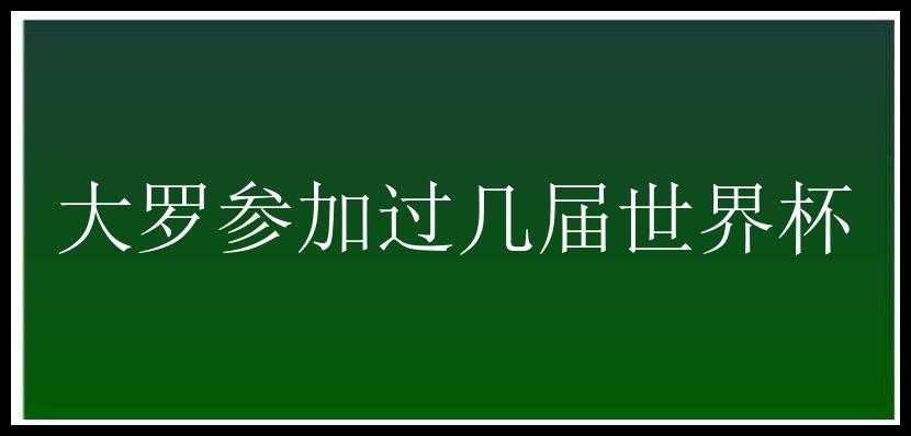 大罗参加过几届世界杯