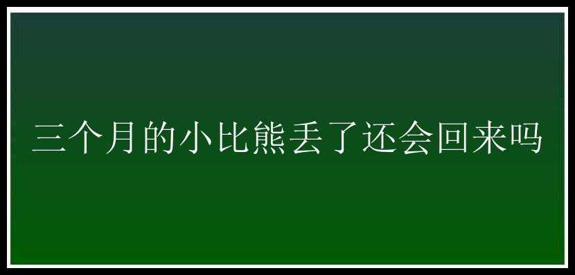 三个月的小比熊丢了还会回来吗