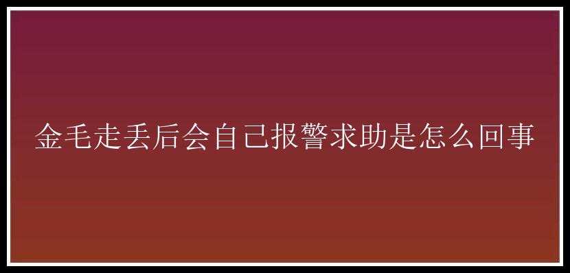 金毛走丢后会自己报警求助是怎么回事