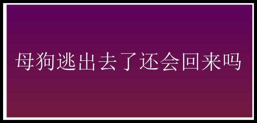 母狗逃出去了还会回来吗