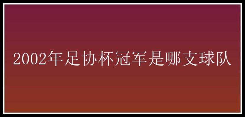 2002年足协杯冠军是哪支球队