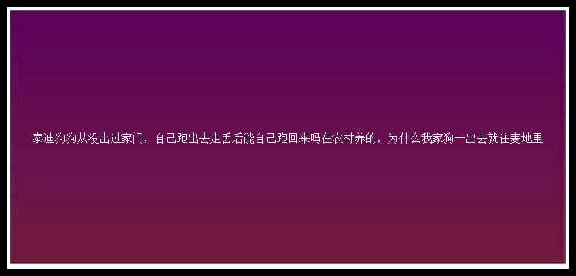 泰迪狗狗从没出过家门，自己跑出去走丢后能自己跑回来吗在农村养的，为什么我家狗一出去就往麦地里