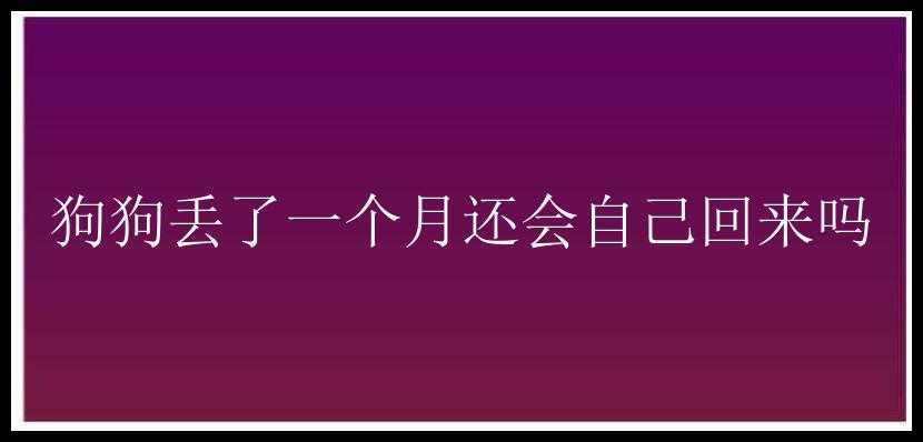 狗狗丢了一个月还会自己回来吗