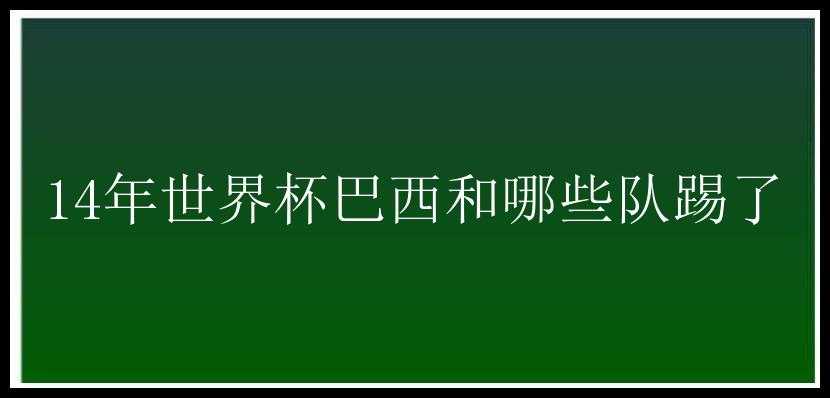 14年世界杯巴西和哪些队踢了